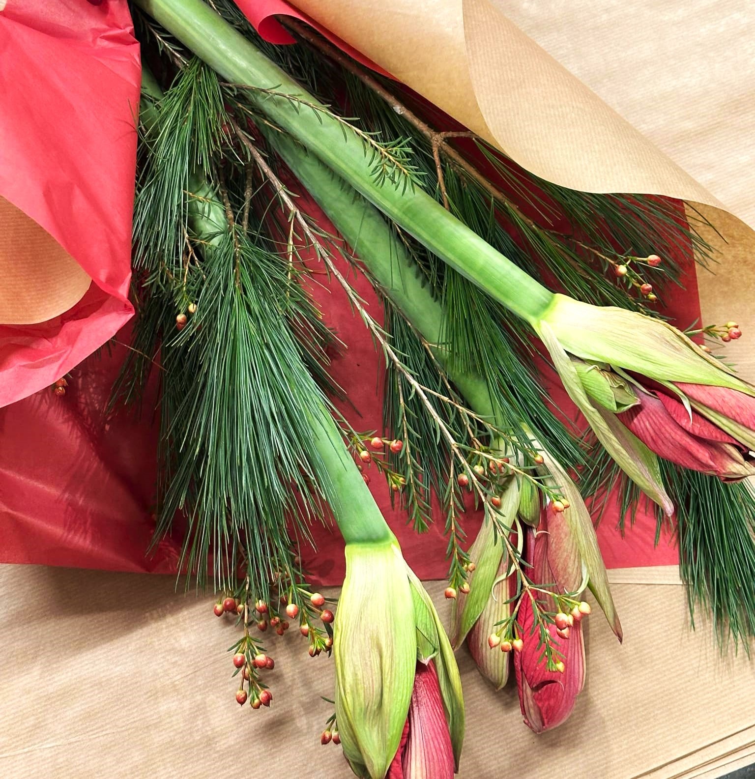 Bundt af røde amaryllis bundet med fyrgran, voksblomst og vintergrønt. 