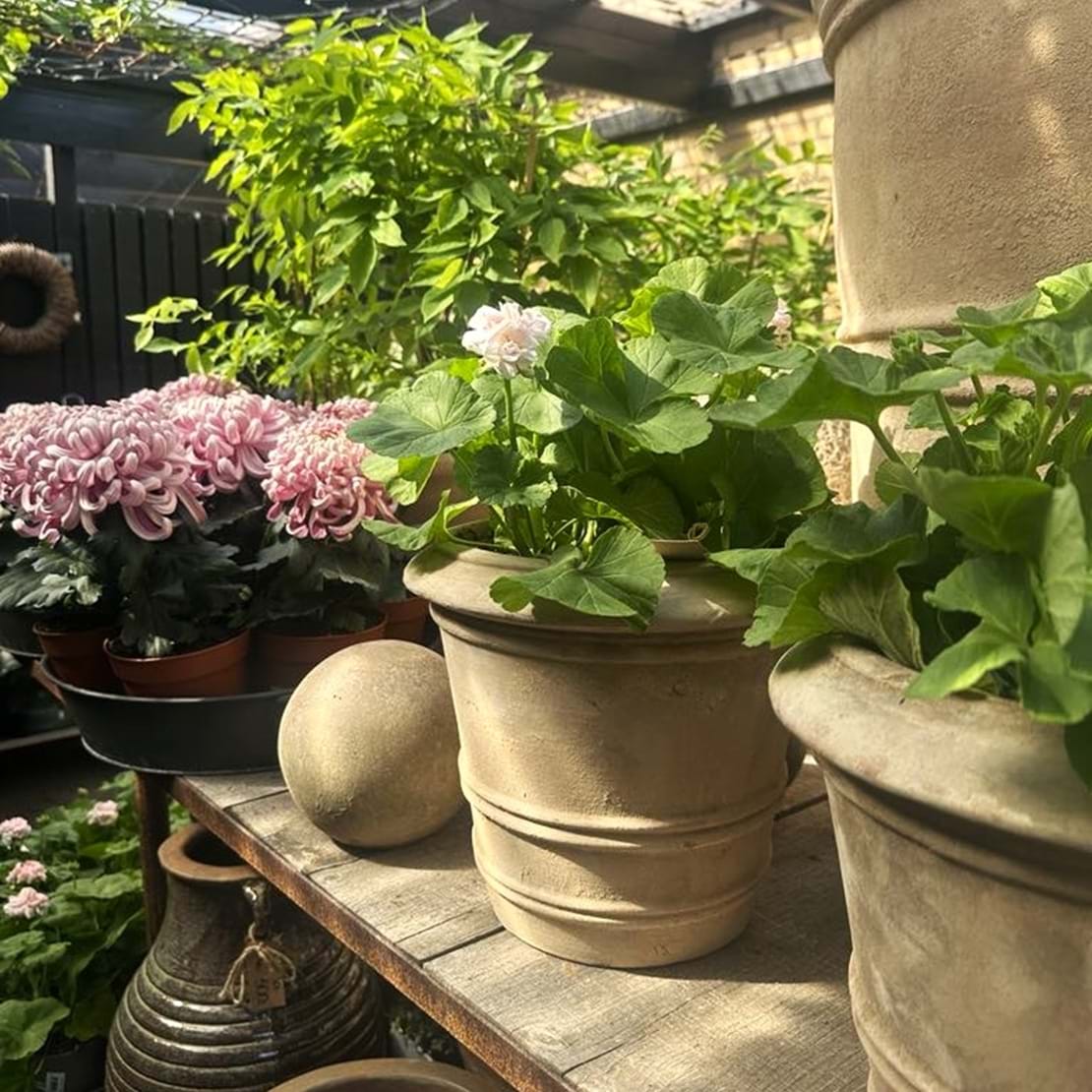 Fletkurve og krukker med sommerplanter.