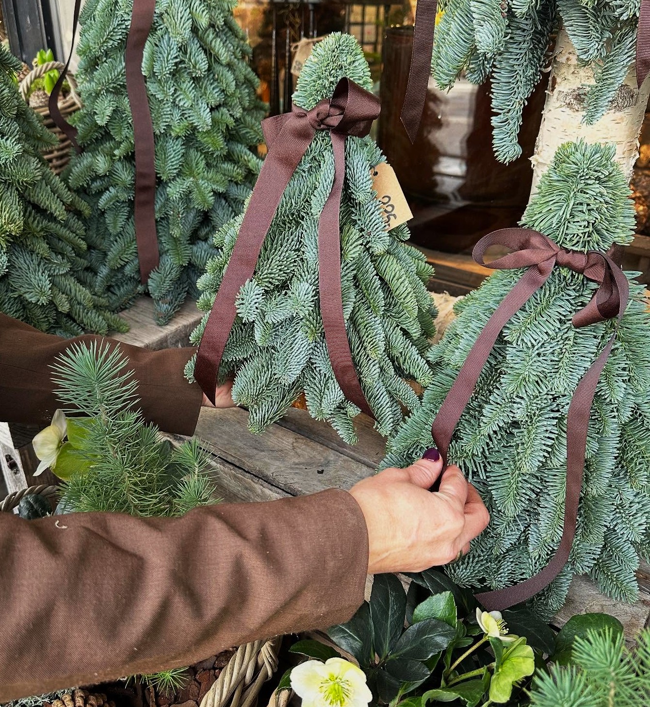 Små grantræer bundet med en lille brun sløjfe i toppen. 