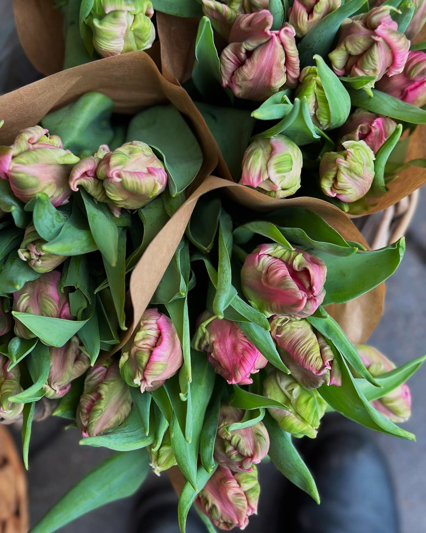 Bundter af tulipaner i lyserøde og lyse nuancer. 