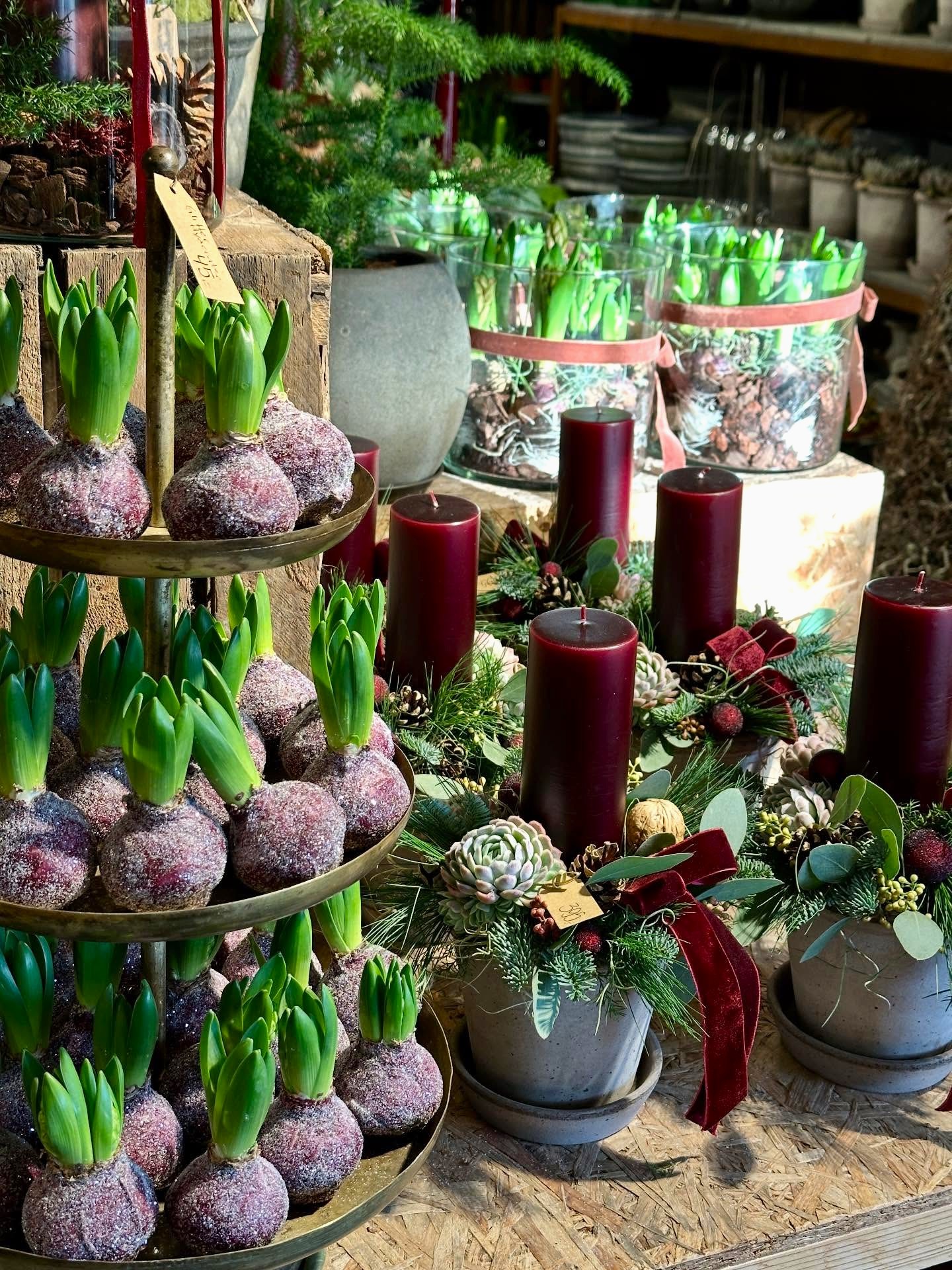 Pynte grantræer i forskellige størrelser står gadeboden. I toppen er bundet en fin mørkebrun sløjfe. 