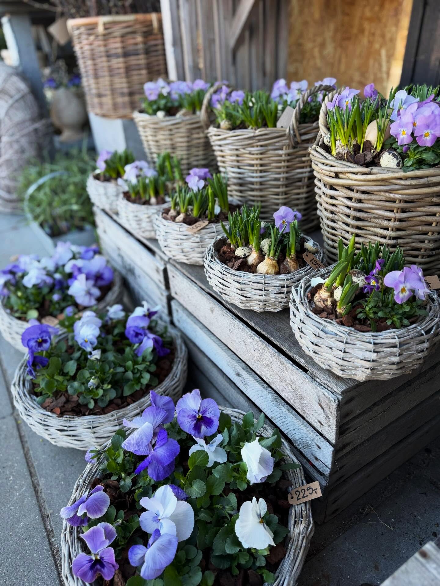 Facaden af butikken Flora Flora, sat op med planter, krukker, kurve og træer i forskellige afskygninger.