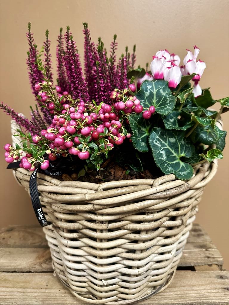 Sammenplantning med efterårsblomster i lys fletkurv.