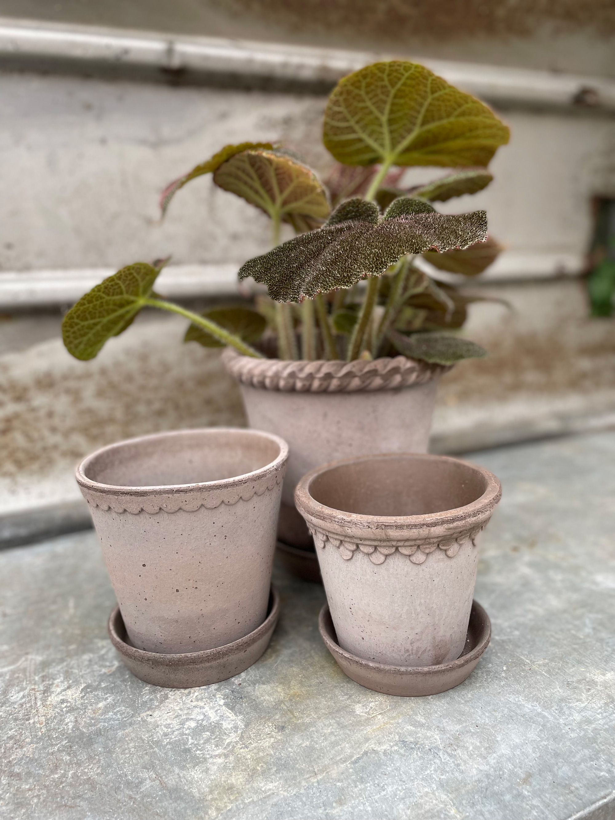 Lerkrukker med indendørs sommerplanter 