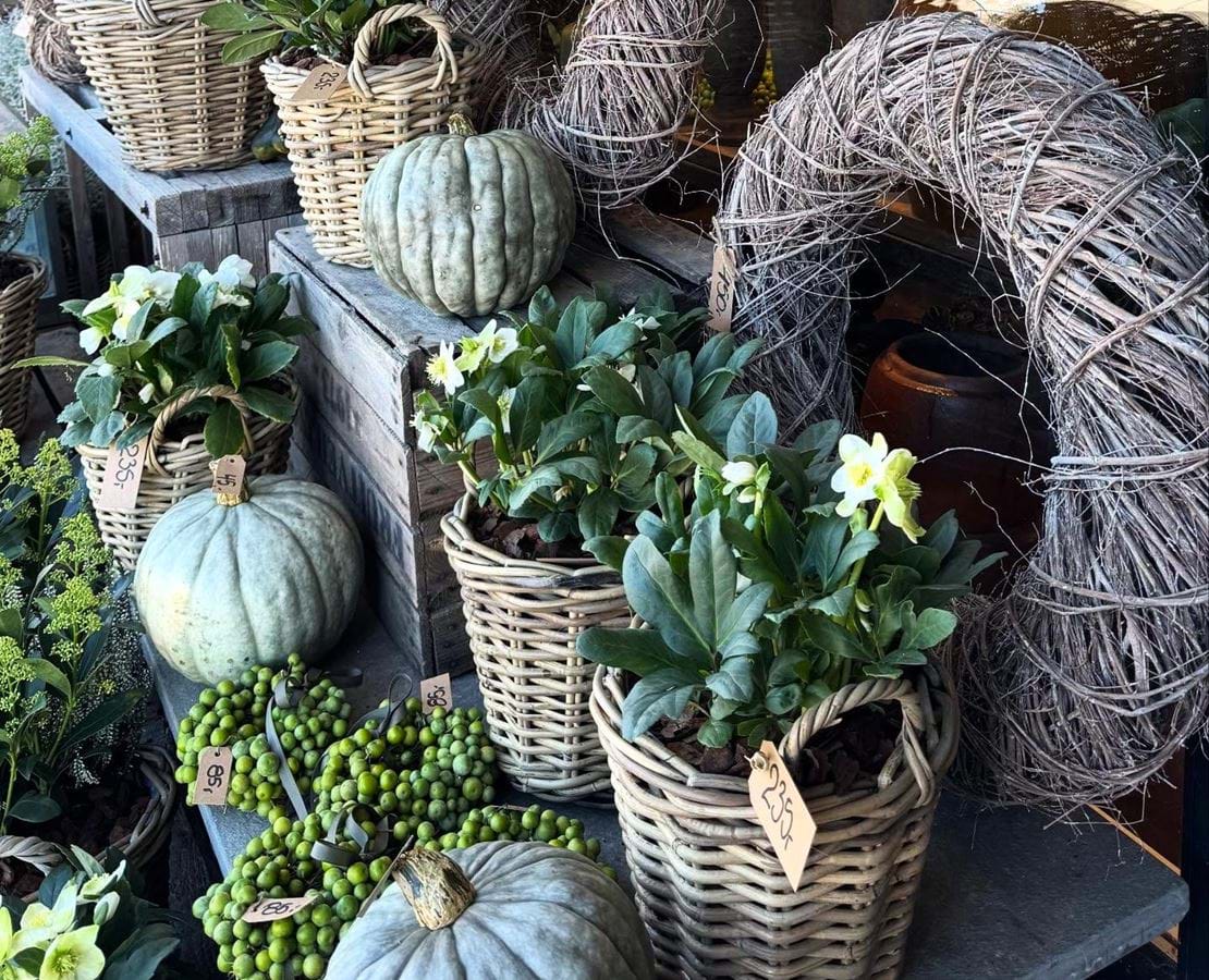 Bord med kranse af flettede kviste, grønne bær ranker, græskar og planter i fletkurve.