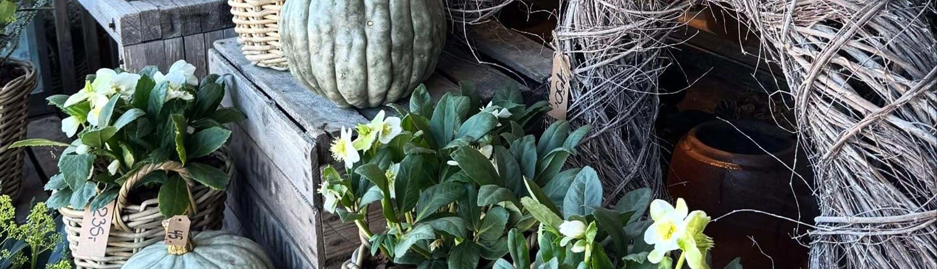 Bord med græskar, kranse af grene og plante i små fletkurve.